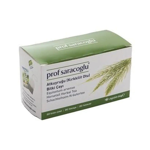 Horsetail (Equisetum arvense) Prof Saracoglu