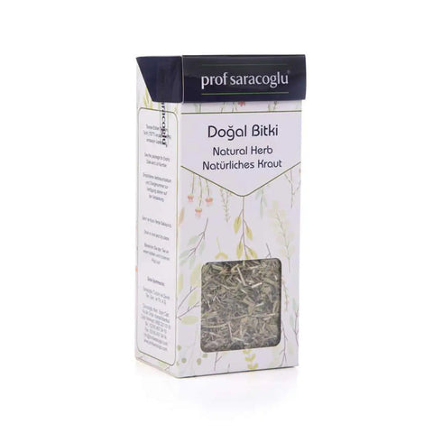 Lavandin (Lavandula stoechas) Prof Saracoglu