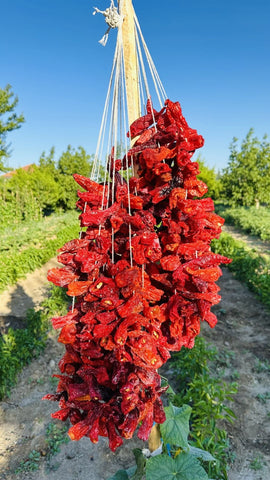 Dried Bell Pepper