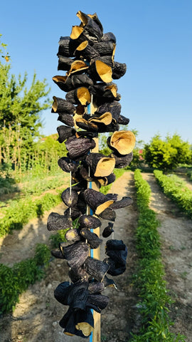 Dried Eggplants