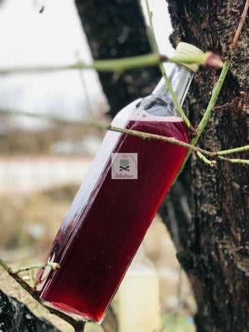 Black Grape Vinegar - 500mL