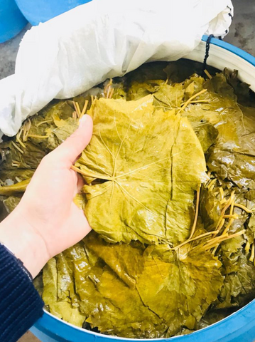 Pickled sultaniye seedless grape leaves -1 kg